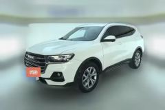 2022 Haval H6 2021 1.5T AT China tideChampion #1