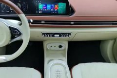 2024 Ora Good Cat 2024 401km Luxury #16