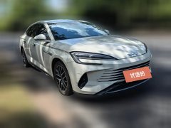 2024 BYD Seal 07 DM-i 2025 DM-i 1.5L 125km Elite #2