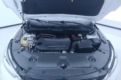 2021 BYD Song 2021 Classic 1.5T MT Luxury #10
