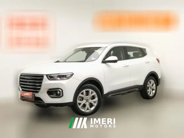 2019 Haval H6 2019 1.5T AT GDIChampion China VI