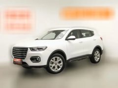 2019 Haval H6 2019 1.5T AT GDIChampion China VI #1