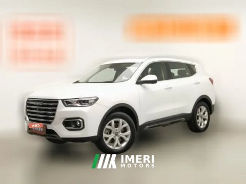 2019 Haval H6 2019 1.5T AT GDIChampion China VI