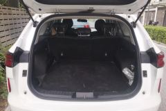 2021 Haval H6 2021 1.5T AT No.3generation2WDPro #4
