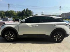 2022 Neta U 2021 Facelift Pro 400 industryCustom #4