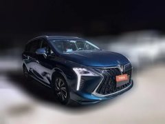 2022 Dongfeng Fengxing Fengxing Youting 2022 1.5T AT DCTChase the wavesEdition #3