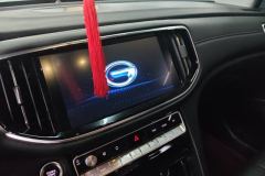 2021 GAC Trumpchi Trumpchi GS8 2020 2.0T AT 390TLuxurySmart ConnectAnniversary（7Seat）FWD #13