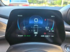 2024 BYD Dolphin 2023 420km freeEdition #11