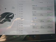 2021 Tesla Model 3 2021 PerformancehighPerformanceall wheel driveEdition #9