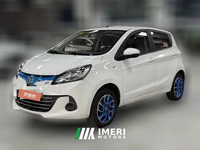 2018 Chang'an Benben EV 2018 EV260 Standard