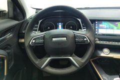 2020 Haval H6 2021 1.5T AT Champion #15