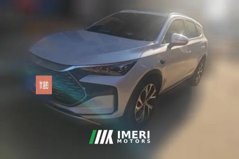 2025 BYD Tang New Energy 2025 Smart Drive DM-i 115KM Premium