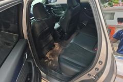 2024 Geely Auto Xingyue L 2024 2.0TD AT High power 2WD horizonEdition #11