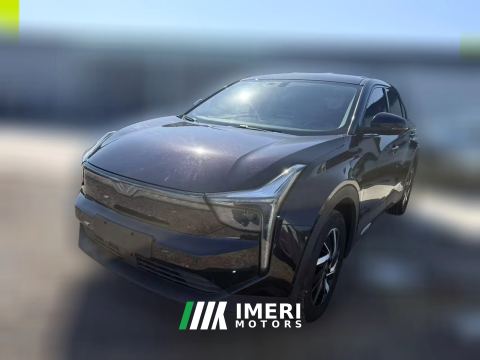 2022 Neta U 2021 Facelift Pro 400 industryCustom