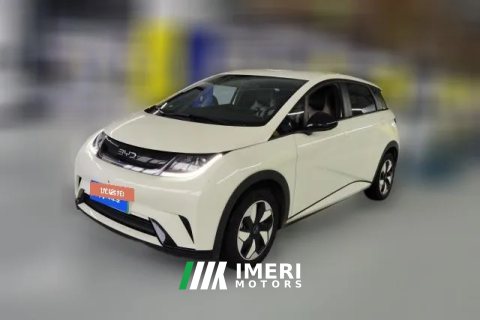 2025 BYD Dolphin 2025 Smart Drive 420km freeEdition