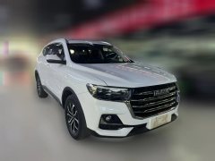 2022 Haval H6 2021 1.5T AT China tideChampion #3