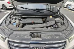 2019 Haval H6 2020 1.5T AT PlatinumChampion #10