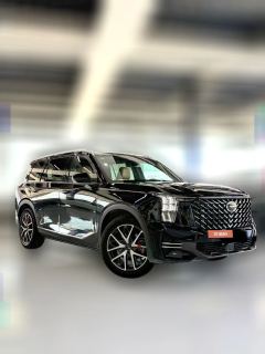 2024 GAC Trumpchi Trumpchi GS8 2025 PilotSeries 2.0TGDI AT 2WDLuxury 5Seat #3