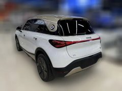 2024 smart #1 2024 Platinum #6