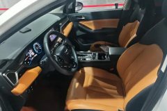 2021 GAC Trumpchi Trumpchi GS4 2021 1.5T AT 270TEliteTech #9
