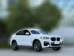 2019 BMW X4 2019 2.0T AT 25i MOff-road package (Imported) #3