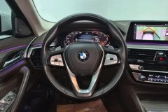 2020 BMW 5 Series 2020 2.0T AT 530LiExclusiveLuxury Pkg #15