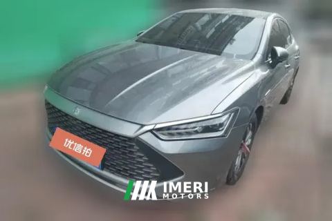 2023 BYD Qin Plus 2023 Champion 1.5 AT DM-i 55KMLeading