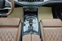 2021 BYD Tang PHEV 2021 2.0T AT DM 4WDHigh PerformanceCreationFlagship #16