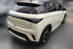 2023 BYD Dolphin 2021 405km Fashion #3