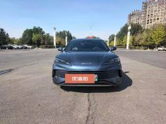 2024 BYD Seal 2024 Glory DM-i 1.5L AT 121kmPremium #9
