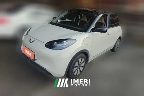 2024 Wuling Motors Wuling Bingo 2023 410kmLingxiExclusive