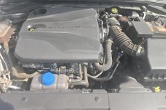 2023 Chang'an Eado 2023 Pleasure PLUS Blue WhaleNE 1.4T AT GDI DCTPremium #10