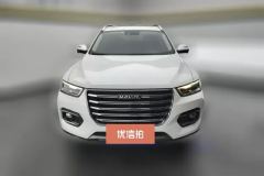 2020 Haval H6 2020 2.0T AT PlatinumLuxury #2
