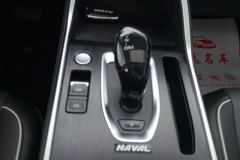 2024 Haval H6 2023 China tideEdition 1.5T AT Champion #16
