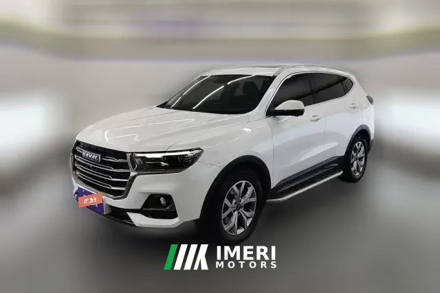 2022 Haval H6 2021 1.5T AT China tideChampion
