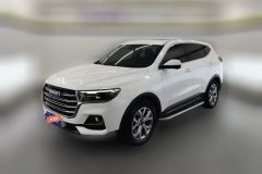 2022 Haval H6 2021 1.5T AT China tideChampion #1
