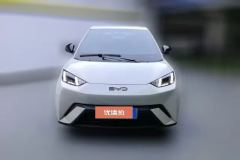 2024 BYD Seagull 2025 305km freeEdition #2