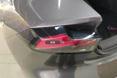 Left Rear Taillight Assembly