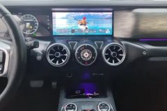 2021 Tank 300 2021 Off-road 2.0TAT conqueror #13