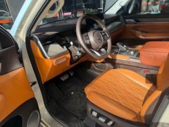 2023 Tank 500 2022 3.0T AT high-endCustom 5Seat #9