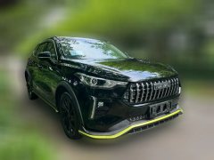 2021 Haval Chitu 2021 1.5T AT ProvokingEdition golden rabbit #2