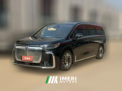 2022 Voyah Dreamer 2022 low carbonEdition Dream+SmartBag