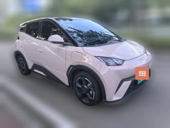 2024 BYD Seagull 2024 Glory 305KM freeEdition #3