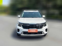 2024 Kia Seltos 2023 1.5L AT CVTLuxury #4