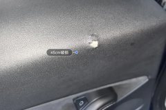 Left Rear Door Trim