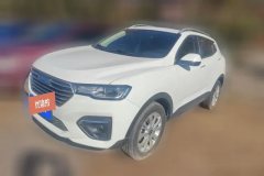 2018 Haval H2s 2018 1.5T AT Blue LabelLuxury #1