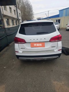 2018 Haval H6 2017 1.5T MT Blue LabelSportPremium FWD #8