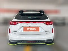 2021 Haval Chitu 2021 1.5T AT ProvokingEdition golden rabbit #7