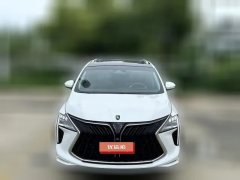 2023 Dongfeng Fengxing Fengxing Youting 2022 1.5T AT DCTChase the wavesEdition #2