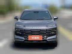 2023 Jetour Dasheng 2022 1.6T AT DCTkingMAX #2